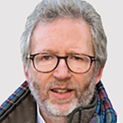 David Firestone